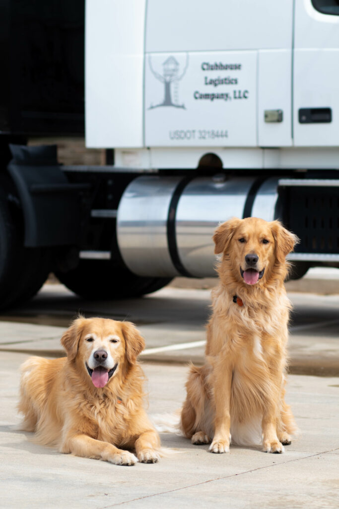 Clubhouse Logistics Company official mascots, two golden retreivers.